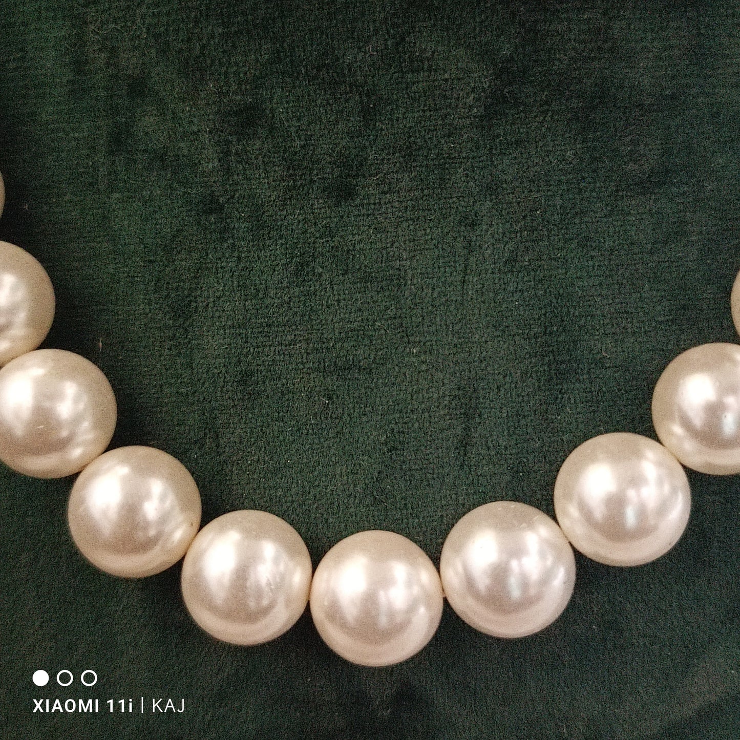 Real sea shell Pearl's neckline set